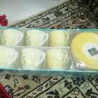 فنجان نعلبکی و اردو خوری