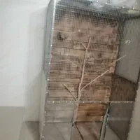 قفس پرنده