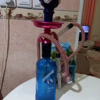 قلیون
