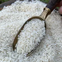 برنج هندی و پاکستانی و ایرانی