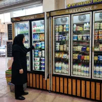 نقد و اقساط یخچال ایستاده