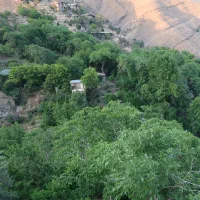 باغ 1316 متر سند تک برگ