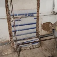 قفس کبوتر