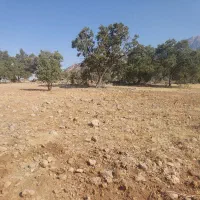 زمین-فرمانداری-روبه-روی-پمپ-بنزین-منصوری