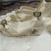 کفش مجلسی