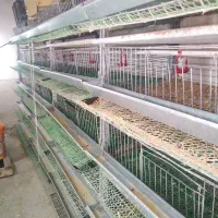 قفس پرورش بلدرچین