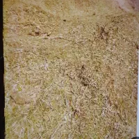 کاه نخود دیم