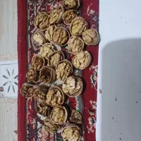 گردو|عمدهفروشی|آذرشهر, |دیوار