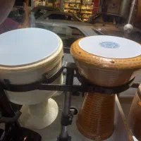 تمپو