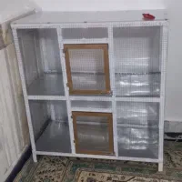 عروس هلندی مولد