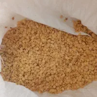 بذر فلفل دلمه