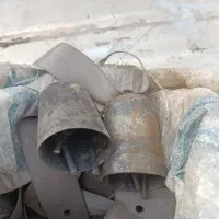 زنگوله سه زبونه