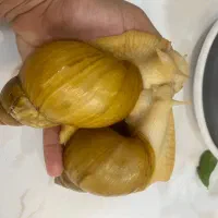 حلزون مناسب کلاژن پوست