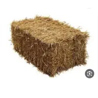 فروش پرس گندم