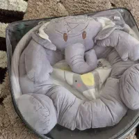 تشک بازی