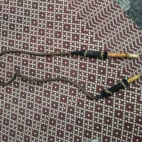 شلنگ قلیان. قلیون