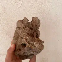 سنگ های فسیل کوه چهل دختران