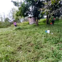 703 متر زمین خانی کنار ، ماسال صومعه سرا