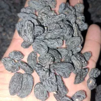 مویز ازبک بدون هسته آجیلی