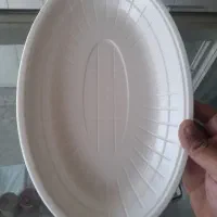 ظروف یکبارمصرف
