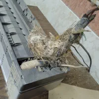 نصب و شستشو و تعمیرات اسپیلت