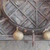گردنی وقورچه