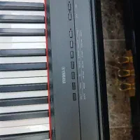 Yamaha p115|پیانو، کیبورد، آکاردئون|یزد, |دیوار