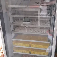دستگاه جوجه کشی ۵۸۸