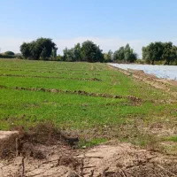 زمین ویلا بهترین جای گلالک