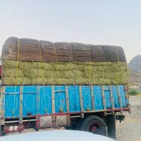 یونجه درجه یک. خالص