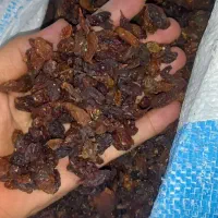 کشمش