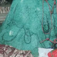 فروش تورشیری