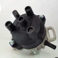 دلکو مانیز (بدون سر دلکو)