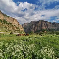 فروش زمین مسکونی در روستای هریجان جاده چالوس|فروش زمین و ملک کلنگی|تهران, لویزان|دیوار