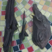 سه قطعه چوب آبنوس