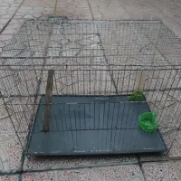 قفسه پرندگان