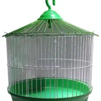 قفس مرغ عشق و عروس هلندی