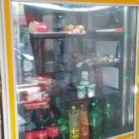 ۱ عددیخچال ویترینی ۱ عدد یخچال تاپینگ دار و فر