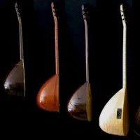 معلم موسیقی/آموزش دیوان - تار