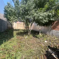زمین ۱۲۰متری با دسترسی ب تاکسی