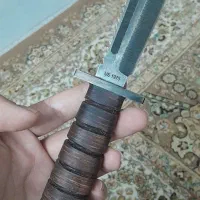 انتاریو ۴۹۹
