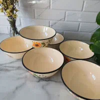 ظروف لعابی روس