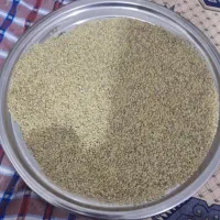 عدس تازه فروشی