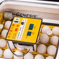 دستگاه جوجه کشی تمام اتوماتیک ساخت کره