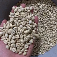 قهوه|عمدهفروشی|زاهدان, |دیوار