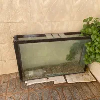 آکواریوم ماهی
