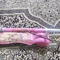 اکسوتر