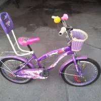 دوچرخه 20