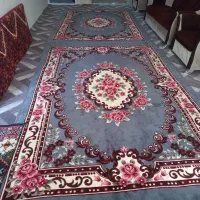 اجاره روزانه سویت