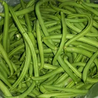 لوبیا سبز محلی